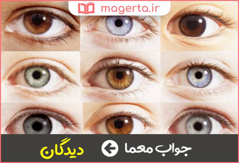 جواب معما چشم ها در جدول