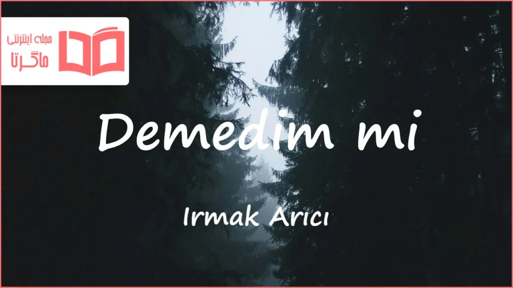 متن و ترجمه آهنگ Demedim mi از Irmak Arıcı