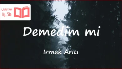 متن و ترجمه آهنگ Demedim mi از Irmak Arıcı