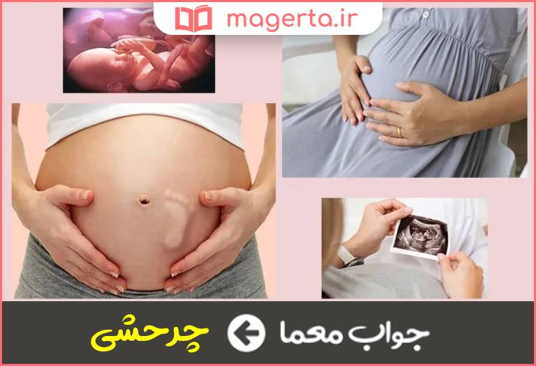 جواب معما حرکت نینجا طور جنین در جدول