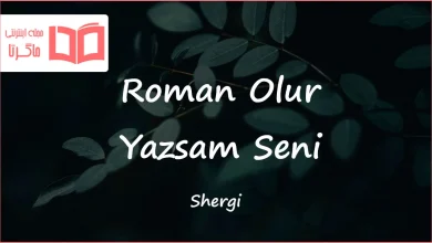 متن و ترجمه آهنگ Roman Olur Yazsam Seni از Shergi