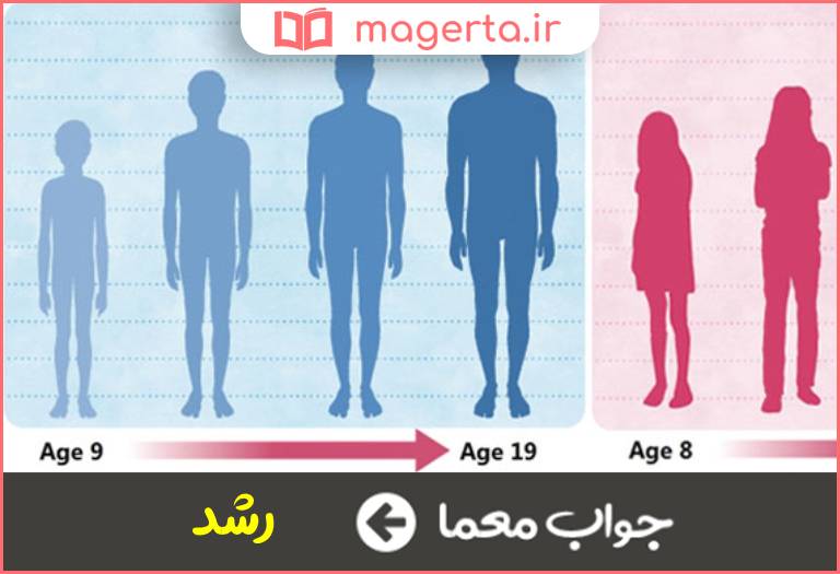 جواب معما علائم بلوغ در جدول