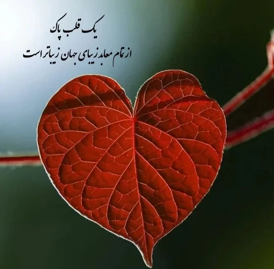 عکس استوری زیبا در مورد قلب پاک