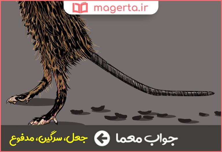 جواب معما فضله در جدول