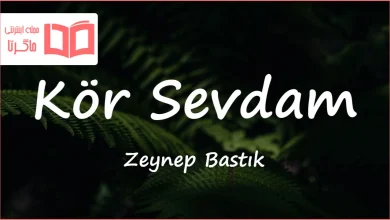 متن و ترجمه آهنگ Kör Sevdam از Zeynep Bastık