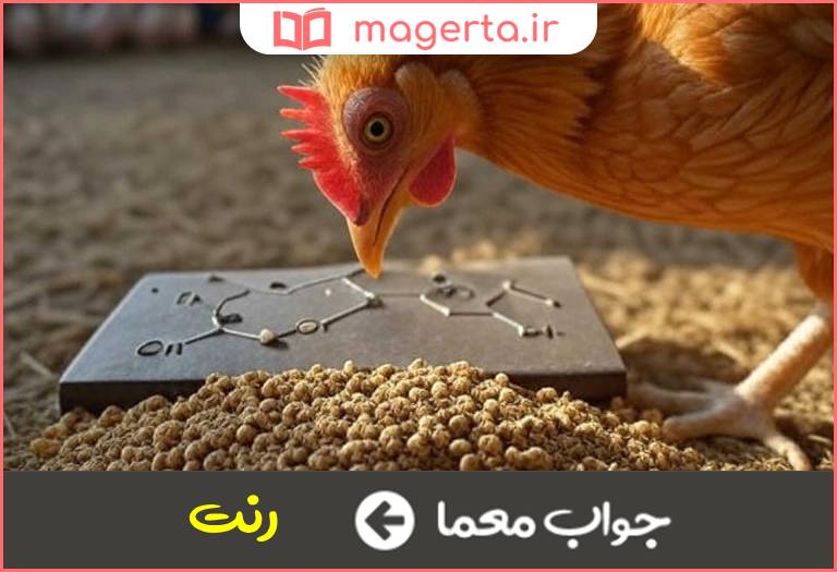 جواب معما یک آنزیم حیوانی در جدول