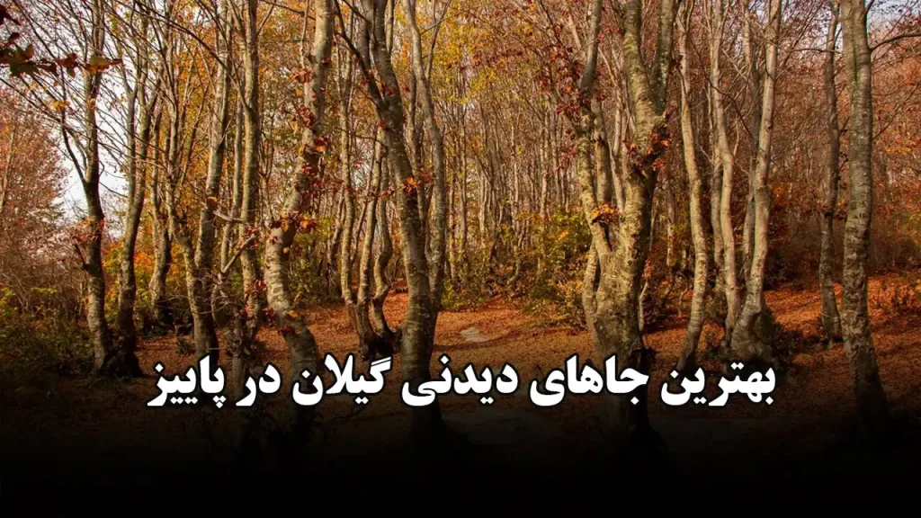 بهترین جاهای دیدنی گیلان در پاییز