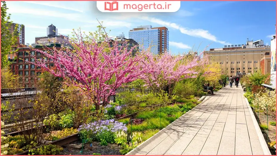 پارک های لاین