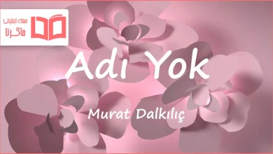 متن و ترجمه آهنگ Adı Yok از Murat Dalkılıç