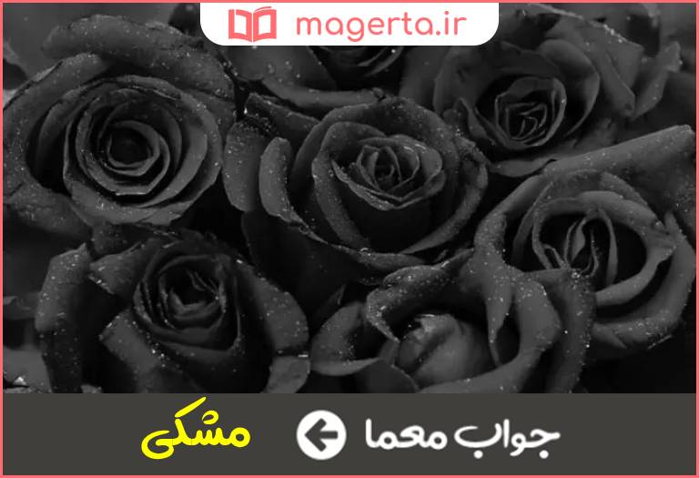 جواب معما تیره و سیاه در جدول
