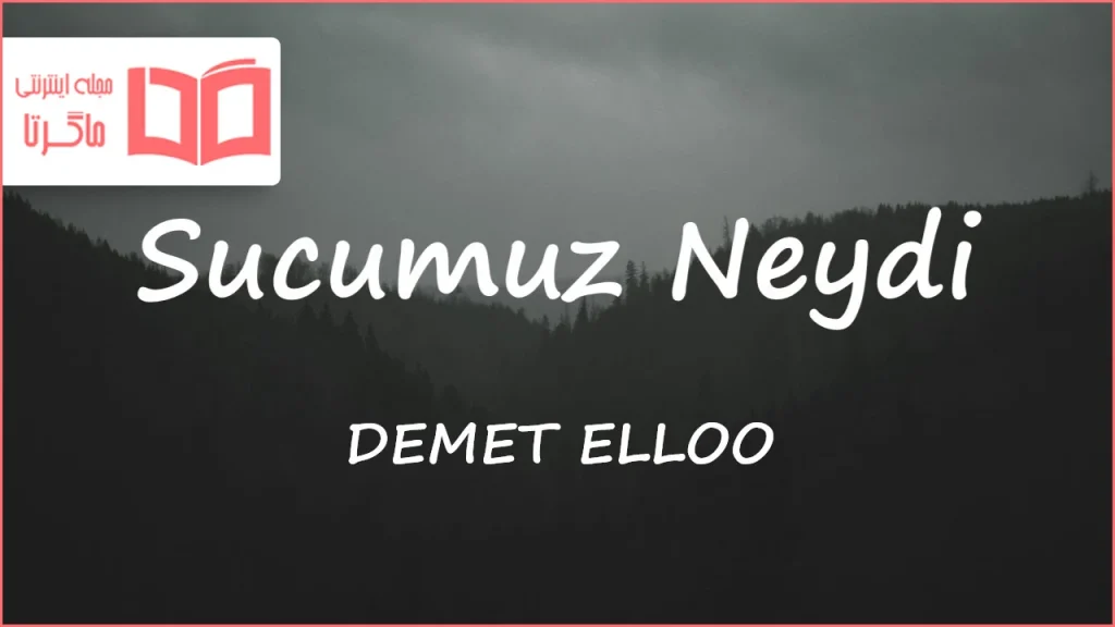متن و ترجمه آهنگ Sucumuz Neydi از DEMET ELLOO