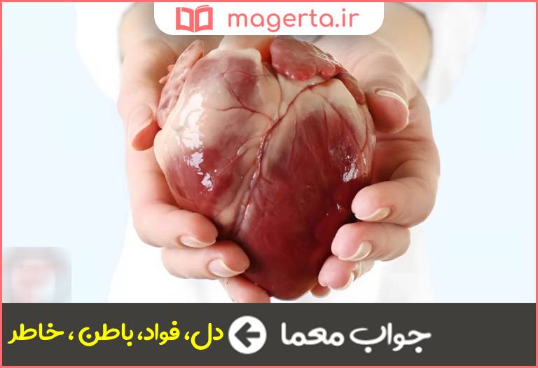 جواب معما قلب در جدول