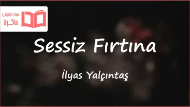 متن و ترجمه آهنگ Sessiz Fırtına از İlyas Yalçıntaş