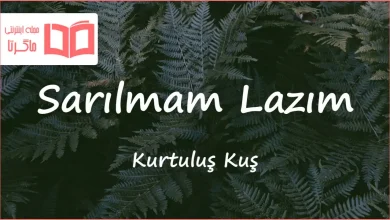 متن و ترجمه آهنگ Sarılmam Lazım از Kurtuluş Kuş