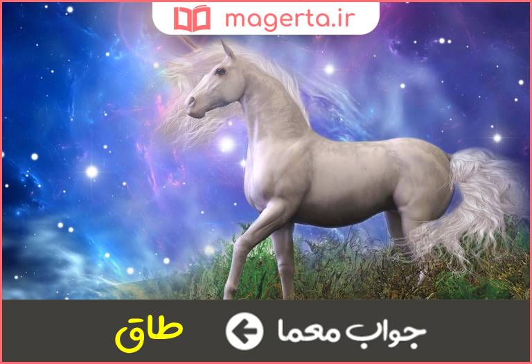 جواب معما جفت نیست در جدول