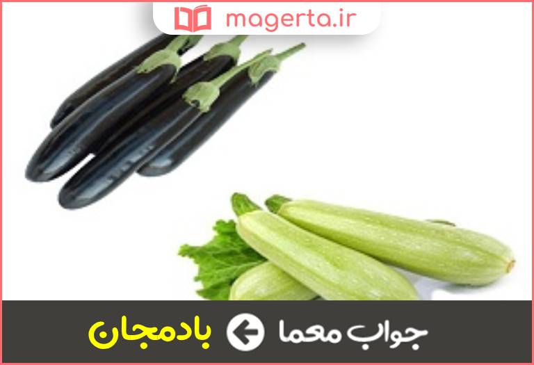 جواب معما همنشین کدو در جدول