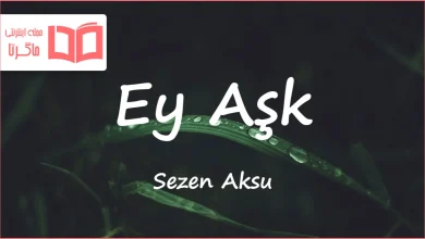 متن و ترجمه آهنگ Ey Aşk از Sezen Aksu