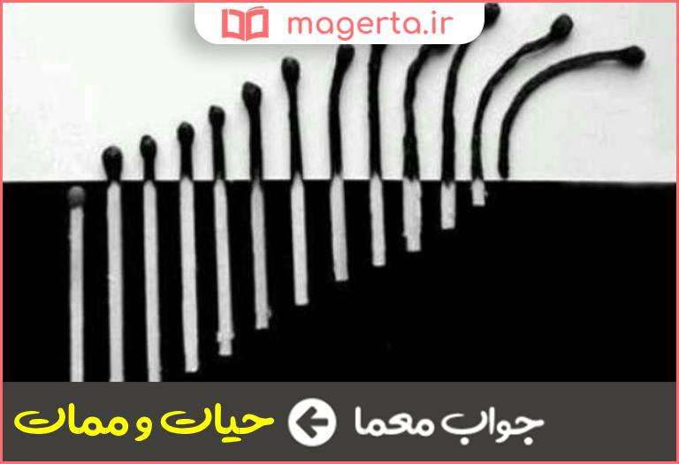 جواب معما اول و آخر زندگی چیست در جدول
