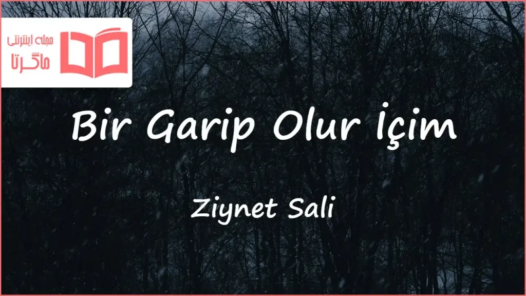 متن و ترجمه آهنگ Bir Garip Olur İçim از Ziynet Sali