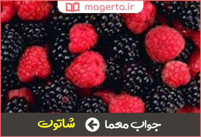 جواب معما میوه ای ریز و قرمز در جدول