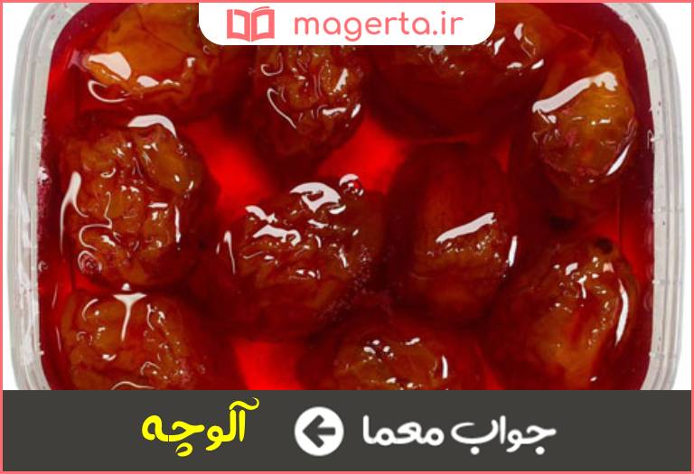 جواب معما میوه ای ریز و ترش در جدول