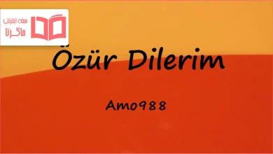 متن و ترجمه آهنگ Özür Dilerim از Amo988