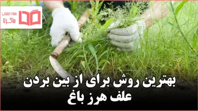 بهترین روش برای از بین بردن علف هرز باغ