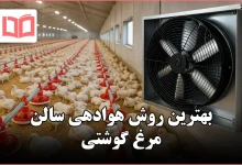 بهترین روش هوادهی سالن مرغ گوشتی