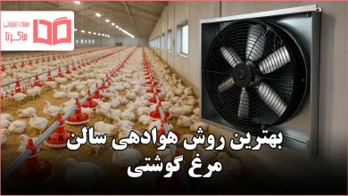 بهترین روش هوادهی سالن مرغ گوشتی