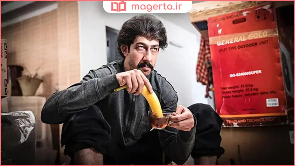 بیوگرافی بهرام افشاری