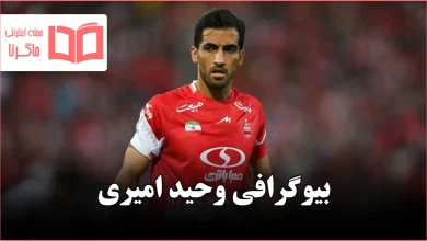 بیوگرافی وحید امیری