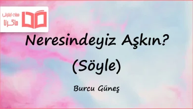 متن و ترجمه آهنگ Neresindeyiz Aşkın ? (Söyle) از Burcu Güneş