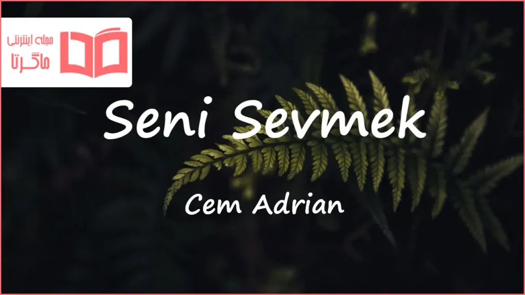 متن و ترجمه آهنگ Seni Sevmek از Cem Adrian