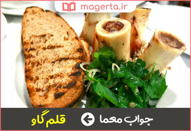 جواب معما قلم خوردنی در جدول