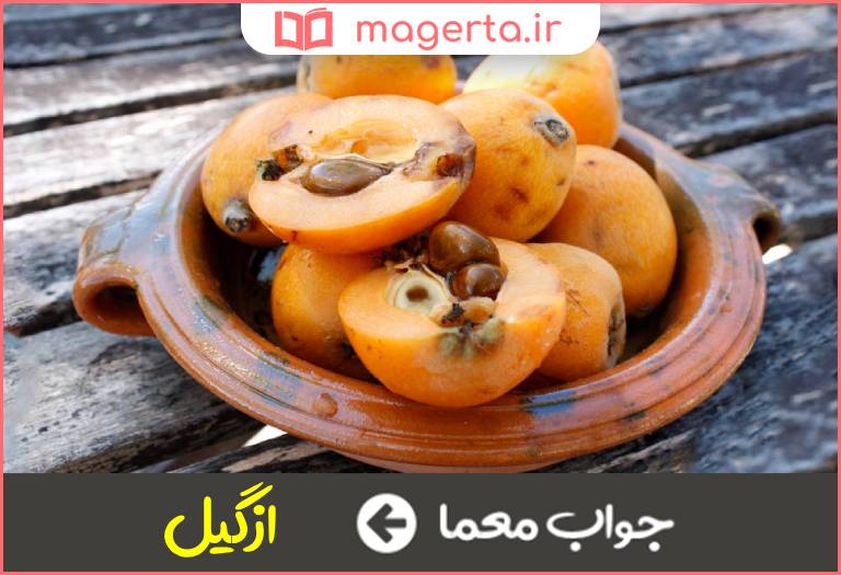جواب معما میوه کن در جدول