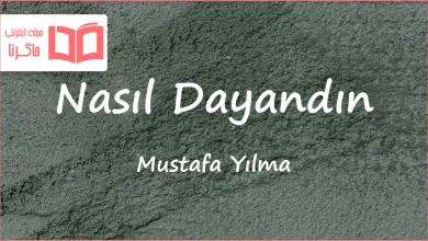 متن و ترجمه آهنگ Nasıl Dayandın از Mustafa Yılmaz