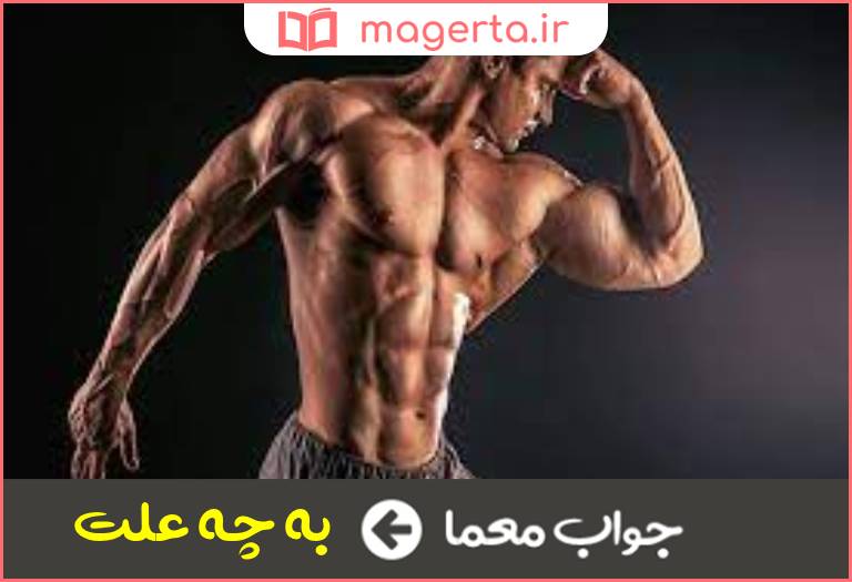 جواب معما ورزشکار ورزیده در جدول