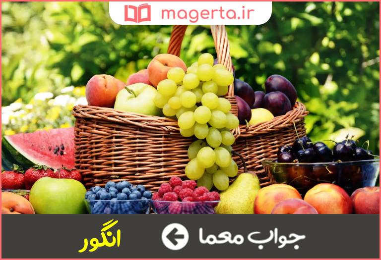 جواب معما میوه شیرین در جدول