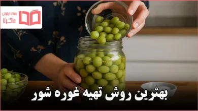 بهترین روش تهیه غوره شور