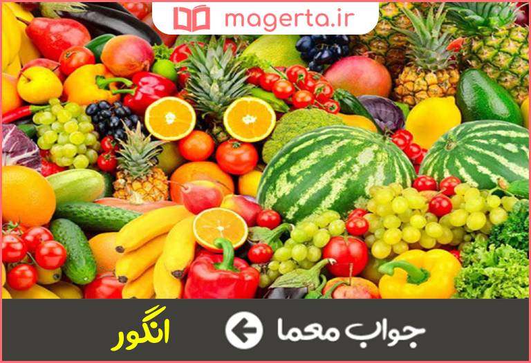 جواب معما نوعی میوه در جدول