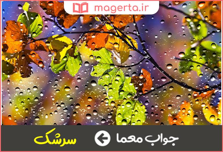 جواب معما مجاز از شبنم در جدول