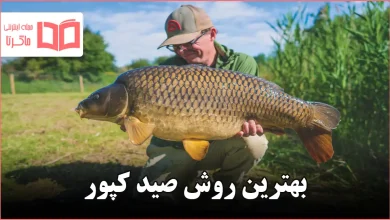 بهترین روش صید کپور