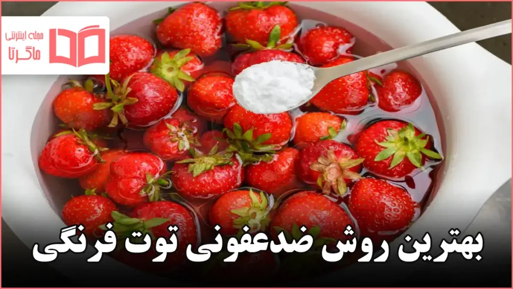 بهترین روش ضدعفونی توت فرنگی