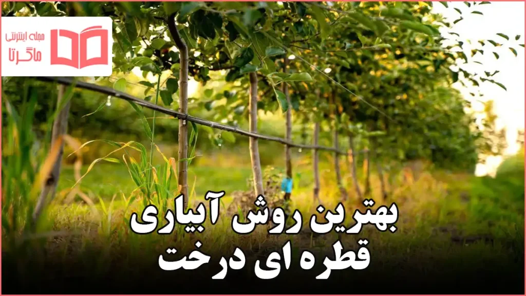 بهترین روش آبیاری قطره ای درخت