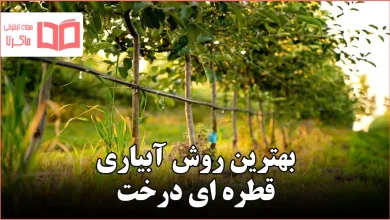 بهترین روش آبیاری قطره ای درخت
