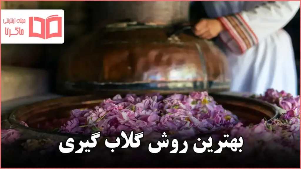 بهترین روش گلاب گیری