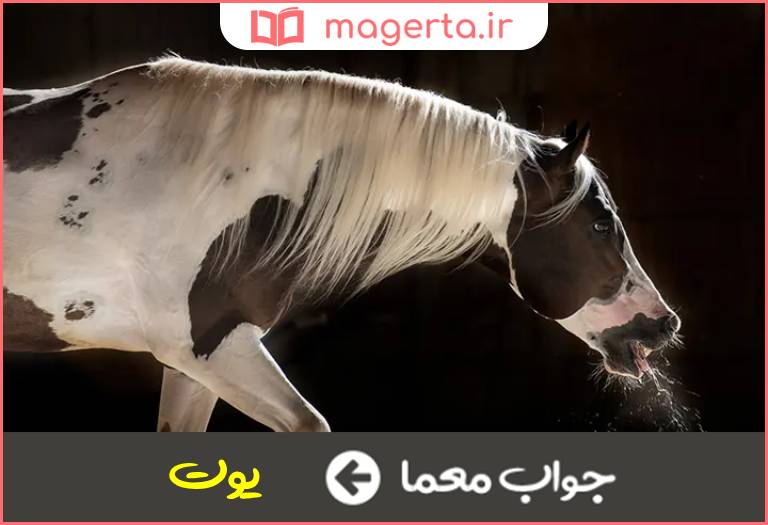 جواب معما بیماری چهارپایان در جدول