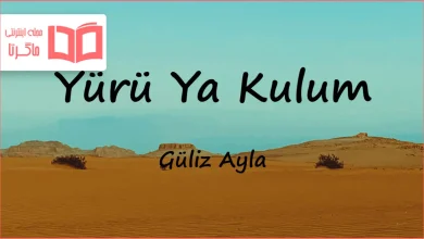 متن و ترجمه آهنگ Yürü Ya Kulum از Güliz Ayla