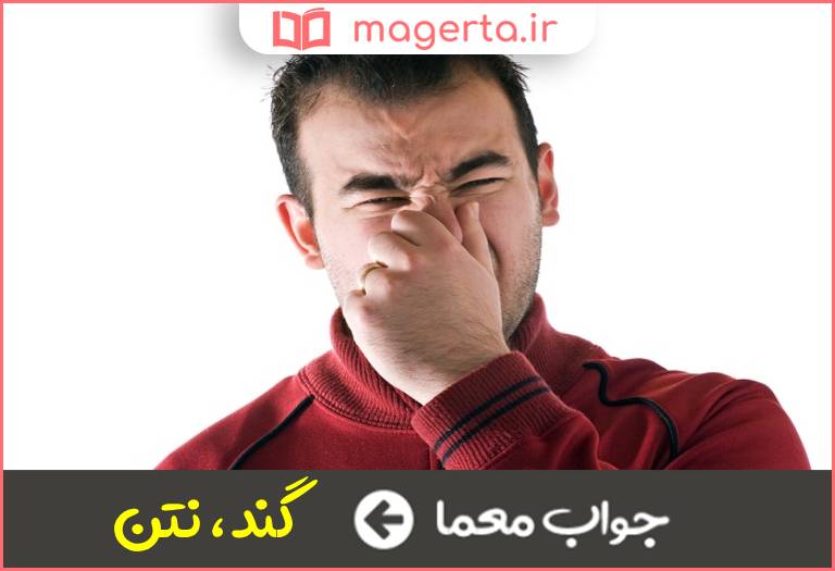 جواب معما متعفن و بدبو در جدول