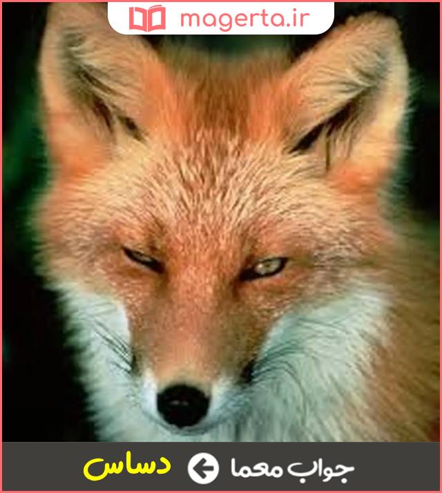 جواب معما بسیار مکار در جدول